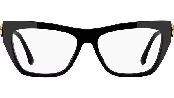 0029 807 Black