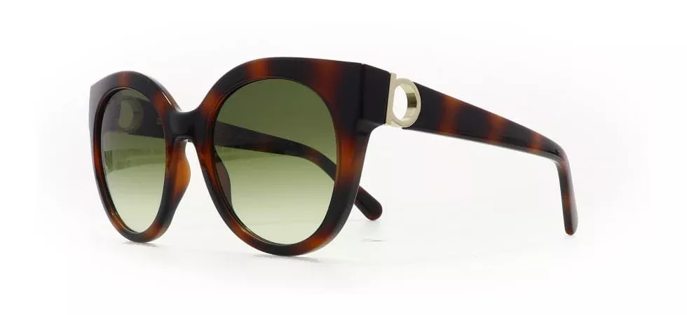 Salvatore Ferragamo 1031 Brown