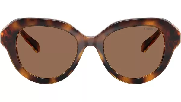 SK6037 100273 Avana Occhiali da Sole