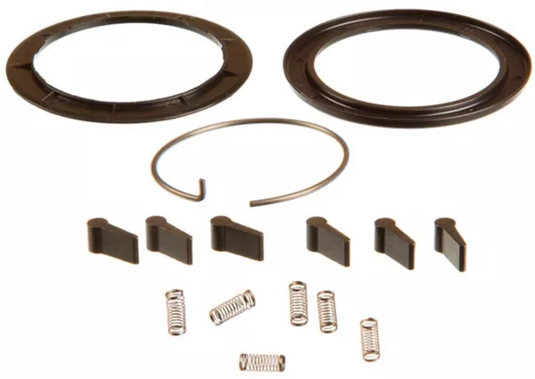 ZippZR1 Spring and Pawl Set